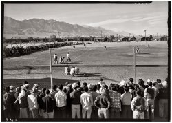 A baseball game against the backdrop of the Sierra Nevada at the Manzanar Relocation Center, 1943. View full size. Photograph by Ansel Adams.