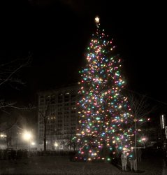 &nbsp; &nbsp; &nbsp; &nbsp; One hundred years ago -- yet it seems like just yesterday that we first posted this.
New York, December 1913. "Christmas tree, Madison Square." 8x10 glass negative, G.G. Bain Collection. View full size. Happy holidays from Shorpy!