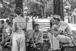 Senior Sneak was the name applied to Marin Catholic High School's pre-graduation recreation getaway day, which for the class of 1955, including my brother and his roll of Tri-X film, was on May 18th that year. There was nothing particularly sneaky about it, since it was school-sponsored -- another shot depicts the principal at the refreshment counter clad in a distinctly non-priestly Hawaiian shirt. The location is Adobe Creek Lodge in Los Altos Hills, 50 miles south of the school on the San Francisco Peninsula. View full size.