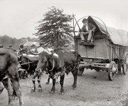 May 11, 1925. Washington, D.C. "Ezra Meeker with 101 Ranch." The Wild West show rolls into town at the Florida Avenue fairgrounds. Ezra Meeker, "hero of the Oregon Trail," was part of the parade. National Photo glass neg. View full size.