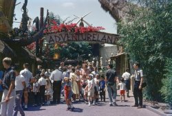 That's my brother at the right, just teleported in from The Land of Grayscale, beholding The Wonderful World of Color, where even garments have hues. Actually, he's making a fashion statement, otherwise it would be a black tie with a white shirt. If you don't know that, you don't know the early 60s.

Captured on Montgomery Ward slide film, specially formulated to make your vacation memories look like they came from same people who printed those free postcards of the motel available from the rack on the check-in counter.

Eventually, the little boys in tee shirts and shorts grew up to spawn an entire generation of grown men who go around everywhere dressed like that.

I assume everybody knows it's Disneyland. August 1963. View full size.