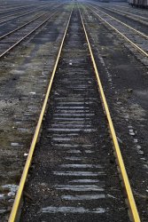 To download, right click on the image and save to your desktop. From the iPhone, tap the image and hold to save. See original image.