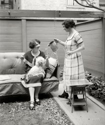 New York circa 1924. "Fitziu." The Metropolitan Opera soprano Anna Fitziu, seated, and friends. 5x7 glass negative, Bain News Service. View full size.