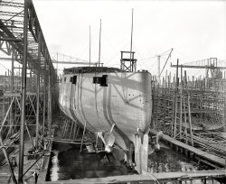 October 22, 1900. "Russian warship Retvizan, day before launching, Cramp's shipyards, Philadelphia." This battleship had its ups and downs -- built for the Imperial Russian Navy, torpedoed during the Russo-Japanese War, refloated, then sunk, then raised, then commissioned in the Japanese Navy, then sunk again. Whew. 8x10 inch glass negative, Detroit Publishing Co. View full size.