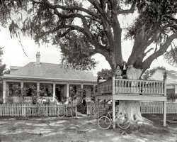 Mississippi circa 1901. "Harry's Villa, Bay St. Louis." 8x10 inch dry plate glass negative, Detroit Publishing Company. View full size.