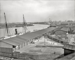 The Savannah River circa 1906. "Down the river -- Savannah, Georgia." 8x10 inch dry plate glass negative, Detroit Publishing Company. View full size.