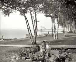Wequetonsing, Michigan, circa 1906. "The birches and the bay." 8x10 inch dry plate glass negative, Detroit Publishing Company. View full size.