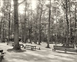Onondaga County, New York, circa 1905. "Picnic grounds, Long Branch Park, Syracuse." Sign on the white shed: "Get your tickets for merry-go-round."  8x10 inch dry plate glass negative, Detroit Publishing Company. View full size.