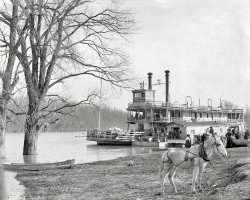 Memphis, Tennessee, circa 1910. "River packet Charles H. Organ landing at Mound City." 8x10 glass negative, Detroit Publishing Co. View full size.