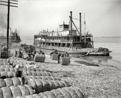 Memphis, Tennessee, circa 1910. "Unloading cotton. Sternwheeler City St. Joseph." 8x10 inch glass negative, Detroit Publishing Company. View full size.