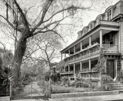 Charleston, South Carolina, circa 1910. "35 Legare Street -- gallery and garden." And dog. 8x10 inch dry plate glass negative, Detroit Publishing Company. View full size.