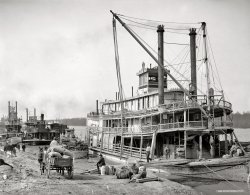 Vicksburg, Mississippi, circa 1900. "The levee." And the sternwheeler Falls City. Dry plate glass negative, Detroit Publishing Company. View full size.