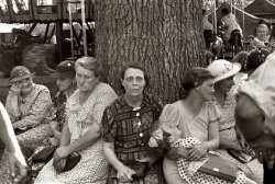 August 1938. "Farmpeople at the county fair in Central Ohio." View full size. 35mm nitrate negative by Ben Shahn for the Farm Security Administration.