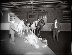 The photos you see here on Shorpy are not just resized versions of the images found in the Library of Congress archives -- they are extracted from the LOC's full-resolution reference tiffs: a process that generally takes anywhere from half an hour to several hours per monochrome image, depending on the amount of work that needs to be done to bring detail out of the shadows, suppress overexposed highlights, and remove blemishes caused by dust, scratches and mold. Color images require correction for color cast as well. The before-and-after composite above shows the condition of some of these old glass negatives a century after they were exposed, and how they look after a day at the digital restoration spa. This one is from 1908. View full size. Below is the 36 mb archival tiff resized to 512 px wide. The restored version is here.



Below is another before-and-after example. Restored version.



Below: Another monochrome example. Click to enlarge.



A more extreme example below. Click here to enlarge. Compare the full-size Shorpy image to the closest match on the LOC site.





Below: Underexposed, strong blue color cast.



Below: A final monochrome example. Negative by Ansel Adams. Click to enlarge.

