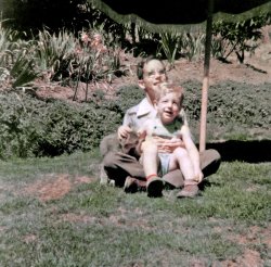 Boots the cat, last seen here, with my brother, age 11 and me, age 2, on our lawn in Larkspur, California. Even if the print hadn't been dated, we'd know it was August because the amaryllis are in bloom; we had them in various places all around our yard. The other horticultural item worth noting is, in the upper right corner, what we'd always called just "the citrus tree" until, twenty years or so later, it finally revealed itself to be a grapefruit. This shot, taken by my sister with her Kodak Duaflex, is on the very first roll of color film we ever used, and the last until my brother started taking color slides seven years later. I restored it from a badly-yellowed print - a fate which befell every Kodacolor print from that period. I still have the negative, but it - as again is typical - has become almost completely dense. View full size.