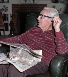 January 21, 1984. Our cat is in her favorite place, Father having provided himself with a protective covering using the Sunday papers. The day before was his 82nd birthday, and everybody - the whole family plus grandkids - have gathered this Saturday for the celebration and traditional Big Deal Dinner in the dining room. Other photos in this set show that Mother has made a prime rib with pan-roasted potatoes.

She was originally my brother's cat; we adopted her some 14 or so years earlier when he got a teaching job in Spain. He'd named her "Radio Mary Fubash." My folks wisely chose to call her "Kitty." Outside, when not doing typical cat things like lurking in the bushes, she'd follow Father around all over as he worked in the yard or just relaxed. I think that some dog DNA must have somehow sneaked into her ancestry. I shot this on 35mm Kodacolor 100. View full size.