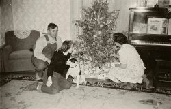 My Mother and her parents on the Nebraska farm.