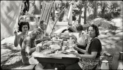 This is probably Yosemite National Park some time in the thirties. Scanned from the 4 x 2½ inch negative. View full size