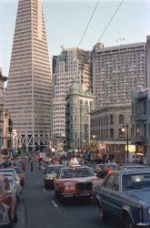 As photographic film continues its inexorable decline to the status of quaint, if not forgotten, technology, I offer this example demonstrating one of its often-derided properties: grain. If you follow home video fora, you'll see many who think it's something to be minimized if not expunged entirely. Of course, grain is why there is an image in the first place. I think the heavy grain structure in this 35mm Kodacolor 1000 negative I shot in 1985 lends a rather painterly quality, especially viewed full-size. The flatironish building in the center is San Francisco's Columbus Tower, aka the Sentinel Building, begun a year before the earthquake and completed a year later in 1907. Since 1970, it's been the headquarters of Francis Ford Coppola's American Zoetrope studio; The Godfather was edited and sound- mixed here. Also, a K-car an M-body Chrysler Fifth Avenue taxi. View full size.