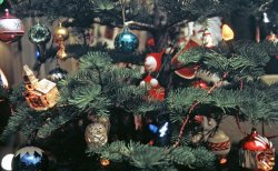 &nbsp; &nbsp; &nbsp; &nbsp; Meanwhile, seven years later ... 

&nbsp; &nbsp; &nbsp; &nbsp; This Kodachrome, originally posted here in 2011, can be seen in the December 2018 Canadian edition of Reader's Digest, illustrating the story "Andrea's Gift" in a two-page spread starting on Page 96. They spotted it here on Shorpy and I licensed it to them.

Old-school and old-old-school decorations on our traditional old-school tree. We always called these Scotch firs, but it looks more like the Noble firs I've seen online. We liked them because they had plenty of open space to let the ornaments show unhindered. The oldest one is the frosted pine cone face toward the bottom; it still has some wax blobs from early 20th Century tree candles on it. The hot-air balloon was always one of my favorites. The blue one at the center top is from our "new" c.1960 set. The plastic church was glitter-enhanced by me personally. A couple years later, all the 1940s-era light strings sacrificed their lives to illuminate my castle diorama in the basement. You can see me reflected in the ornament at lower left, along with the bright spot on the ceiling from the bounce flash I used to light this Kodachrome. View full size.