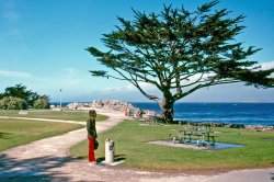 When you find forty-year-old photos of yourself that you never knew existed, several thoughts may pop into your mind. For instance: "I dressed like that for a road trip?" Well, it was the 70s, after all. Thank goodness my friend had Kodachrome in  his camera to fully capture the glorious redness of my trousers. While I enjoy the lovely view here somewhere near Monterey, California, other visitors seem to be dumpster diving. This slide was in a stash of them my friend and I unearthed in a spare room of his house a few days ago. View full size.