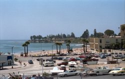 OK, they're parked rather than cruising, nevertheless this compendium of classic cars, this Valhalla of vintage vehicles, this body of beachside barouches is ripe for perusing in the super-duper-size scan of this 35mm Kodacolor 100 negative I shot in Santa Cruz, California. I was there visiting my brother, at the time an English teacher at Santa Cruz High. Camera: Konica Autoreflex T, 57mm f1.4 Hexanon lens. Last year I had it refurbished and used it for the first time in over 30 years. Every so often I'll shoot a roll of color negative film just for fun. View full size.