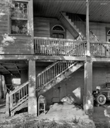 1938. "Lady of the Lake, St. Martinville vicinity, St. Martin Parish, Louisiana." 8x10 inch acetate negative by Frances Benjamin Johnston. View full size.