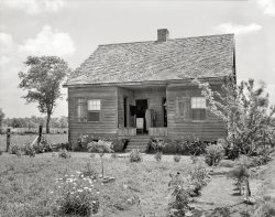 1938. "Thebideau (Thibodaux?) cabin, Franklin vic., St. Mary Parish, Louisiana. Related name: Mrs. Streva." Photo: Frances Benjamin Johnston. View full size.