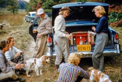 September 1955. Lloyd's Neck, Long Island, New York. "Arden field trials for spaniels." 35mm Kodachrome by Toni Frissell for the Sports Illustrated assignment "Sporting Look: Field Trip at Marshall Field's Long Island Estate near Cold Spring Harbor." View full size.