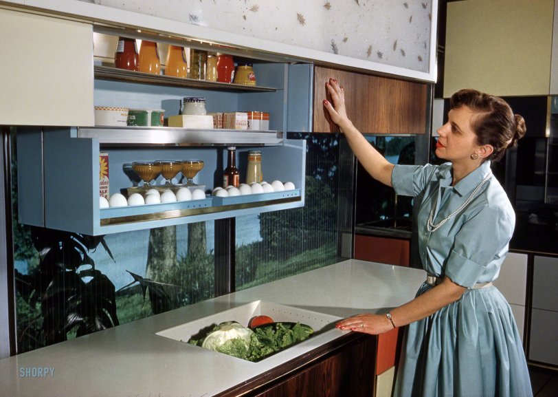 Future Fridge: 1959 1959. "Anne Anderson in RCA-Whirlpool 'Miracle Kitchen of the Future,' a display at the American National Exhibition in Moscow." Photo by Bob Lerner for the Look magazine article "What the Russians Will See." View full size.