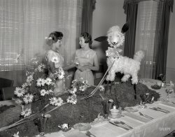 Columbus, Georgia, circa 1958. "Junior League luncheon." Starring the Centerpiece That Ate Columbus. 4x5 inch acetate negative. View full size.