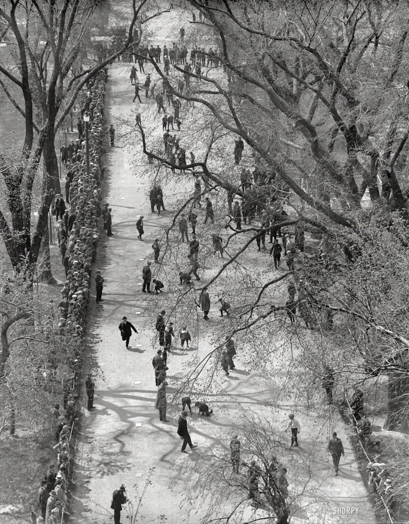 Boston circa 1920. "Marble contest on Boston Common." With a sizable gallery, considering the sport. 4x5 glass negative, photographer unknown. View full size.