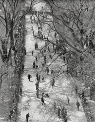 Boston circa 1920. "Marble contest on Boston Common." With a sizable gallery, considering the sport. 4x5 glass negative, photographer unknown. View full size.