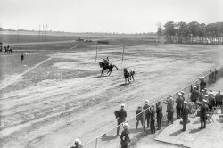 &nbsp; &nbsp; &nbsp; &nbsp; Runaways -- real ones, calculated to make your hair stand on end -- will be caught by members of the Traffic Squad. -- N.Y. Times
June 24, 1916. "Police show at Sheepshead Bay Speedway -- rescuing woman from runaway horse." A benefit for "widows and orphans of the men whose names are carried on the Honor Roll." 5x7 glass negative, Bain News Service. View full size.
