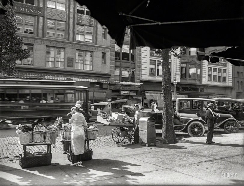 Pears Aplenty: 1921 Washington, D.C., circa 1921. "National Fruit Co. -- Eleventh Street N.W." National Photo Company Collection glass negative. View full size.