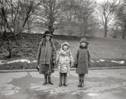 Feb. 2, 1925. "FILM STAR VISITS THE PRESIDENT. Baby Peggy, one of the youngest movie stars, at the White House today with Frances and Gene Quirk of New York, saw the sights of Washington and made an informal call upon President Coolidge." View full size.
Diana Cary, Child Star ‘Baby Peggy’
of Silent Films, Dies at 101
&nbsp; &nbsp; &nbsp; &nbsp; Diana Serra Cary, probably the last surviving child superstar of the silent film era nearly a century ago, who spent decades coming to terms with a bizarre childhood of triumphs, heartbreaks and parents who squandered her fortune, died on Monday in Gustine, Calif. She was 101.
— New York Times