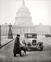 &nbsp; &nbsp; &nbsp; &nbsp; In a tragic twist of fate, Senator Schall -- whose blindness was the result of being shocked by an electric cigar lighter in 1907 -- died seven years after this picture was made, struck by a car while crossing the Baltimore-Washington Parkway.
January 1928. "CANINE CHAPERONE. Senator Thomas D. Schall, blind solon from Minnesota, is now able to get around the Capitol without an attendant since his specially trained German police dog has arrived to lead him around. The dog, 2 years old, has been specially trained for the purpose." 4x5 inch glass negative, Harris & Ewing Collection. View full size.