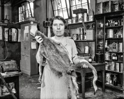 Washington, D.C. "NO CAPTION" is the caption on this Harris & Ewing glass negative from 1935 of a lady and her furry friend. View full size.