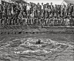 October 28, 1935. Washington, D.C. "Diving exhibition. Navy Day was celebrated at the Washington Navy Yard [a day late, since the 27th was a Sunday] by various exhibitions including the diving show put on here by 2nd Class Gunner's Mate Emerson Burie Buie. A diving school is maintained at the yard." 4x5 glass negative by Harris & Ewing. View full size.