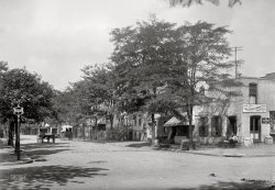 Washington, D.C., circa 1901. "View of C Street N.W., north side, looking west from 12th Street." 5x7 inch glass negative, D.C. Street Survey Collection. View full size.