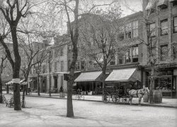 Washington, D.C., circa 1901. "View of 12th Street N.W., west side, from near G Street." Merchants and tenants seen here include Morton C. Stout, Tailor, at the corner of 12th and F; a dealer in Sundries and Bedding; a hardware emporium whose name we can't quite make out, as well as a [Something] School; the Washington Chess Club; the Sheetz & Bishop Photographic Stock House; C.A. Muddiman & Co., dealer in Lamps and purveyor of Electric and Gas Fixtures; and Dr. William Dieffenderfer, Dentist. 5x7 inch glass negative. View full size.
