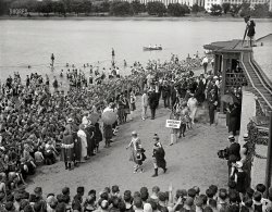 June 17, 1922. Washington, D.C. "Washington Advertising Club bathing beauty contest at Tidal Basin." Harris & Ewing Collection glass negative. View full size.
&nbsp; &nbsp; &nbsp; &nbsp; "Quintet of beauties wore the models of Lansburg & Brother, which captured first prize in the store competition." Caboose of the quintet is Miss Iola Swinnerton, First Lady of Shorpy, who took second in the individual costume contest. Read all about it here.