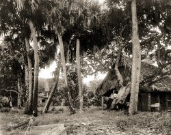 Indian River County, Florida, circa 1890. "Dawson's, Gem Island, Indian River." The homestead of Lewis Bebee Dawson (1836-1904) and two young men, one of them possibly his son Lewis Mills Dawson (1877-1907). 8x10 inch dry plate glass negative by William Henry Jackson. View full size.