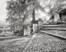 Mexico circa 1897. "Stairway and shrines of Sacromonte, near Amecameca de Juárez." 8x10 inch glass negative by William Henry Jackson. View full size.