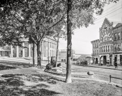 Circa 1900. "Newton, New Jersey." The Sussex County Courthouse at High and Spring streets is the star here, with the Hotel Newton and P. Heinz Bakery in supporting roles. Plus an equine street-watering team. 8x10 glass negative, Detroit Photographic Company. View full size.
