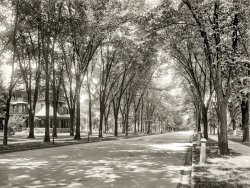 Syracuse, N.Y., circa 1900. "West Genesee Street." A postcard from the bygone days of hitching posts and mounting blocks. 8x10 glass negative. View full size.