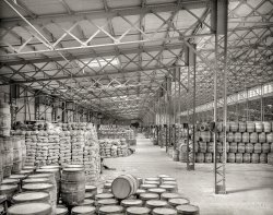 Circa 1900. "New York Central freight sheds, Buffalo, N.Y." 8x10 inch dry plate glass negative, Detroit Photographic Company. View full size.