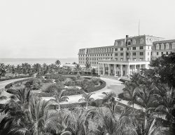 Miami circa 1901. "Hotel Royal Palm, west front." Henry Flagler's hostelry opened in 1897 and closed in 1930, condemned after a termite infestation. 8x10 inch glass negative by William Henry Jackson, Detroit Publishing Co. View full size.