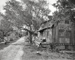 Circa 1900. "Nathan Cobb house, a summer cottage, Ormond, Fla." A residence built from materials salvaged from the wrecked schooner Nathan F. Cobb, which capsized and ran aground off Ormond Beach in 1896. 8x10 inch dry plate glass negative by William Henry Jackson. View full size.