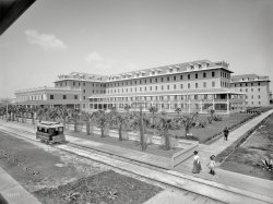 Palm Beach, Florida, circa 1901. "The Breakers from the casino." Note the horsecar and boardwalk with cutouts for the palm trees. Another of Henry Flagler's wood-frame behemoths, the Breakers burned in 1903 and reopened the following year, then burned yet again in 1925. 8x10 inch glass negative. View full size.